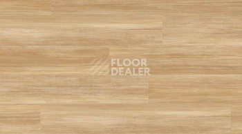 Кварцвиниловые полы Gerflor Creation 55 0857_Stripe_Oak_Honey фото 1 | FLOORDEALER