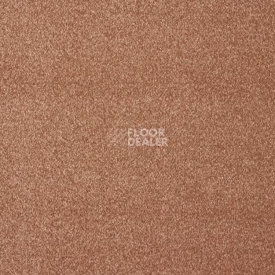 Ковролин AW Satisfaction 82 фото 1 | FLOORDEALER