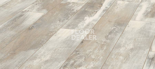 Ламинат Kronotex Exquisit 8мм d4754 Дуб Хелла фото 1 | FLOORDEALER