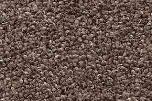 Ковролин AW Perseus 40 фото  | FLOORDEALER