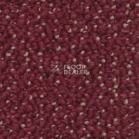 Ковролин Dura Level One 442 фото 1 | FLOORDEALER