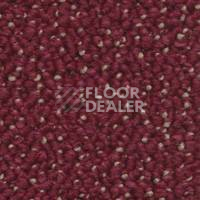 Ковролин Dura Level One 442 фото 1 | FLOORDEALER