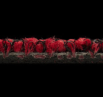 Balsan Progression 550 фото 3 | FLOORDEALER