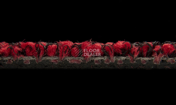 Balsan Progression 550 фото 3 | FLOORDEALER