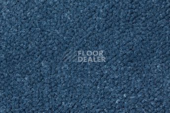 Ковролин AW Prima AW Prima 74 фото 1 | FLOORDEALER