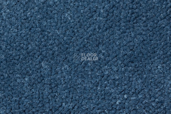 Ковролин AW Prima AW Prima 74 фото 1 | FLOORDEALER