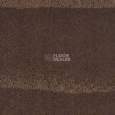 Ковролин Territoires Editio Limitee Tanzanie files 691 фото 1 | FLOORDEALER