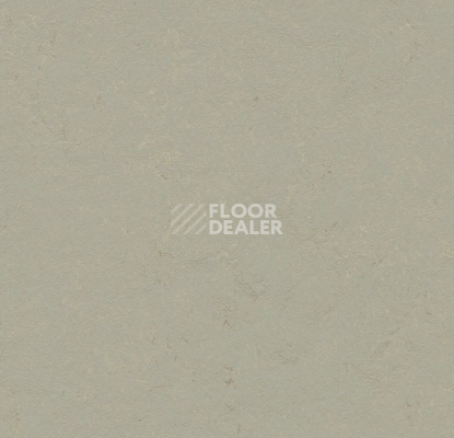 Линолеум Forbo Marmoleum Solid Concrete 3724 orbit фото 1 | FLOORDEALER