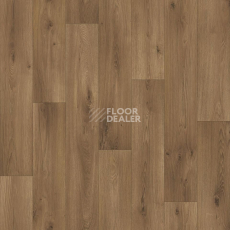 Линолеум Tarkett Acczent Pro Samson 2 фото 1 | FLOORDEALER