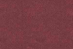 Ковролин Desso Asteranne 4001 фото  | FLOORDEALER