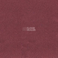 Ковролин Desso Asteranne 4001 фото 1 | FLOORDEALER