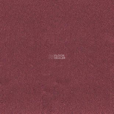 Desso Asteranne 4001 фото 1 | FLOORDEALER