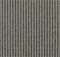 Ковролин Carpet Concept Goi 3 270106 фото 1 | FLOORDEALER