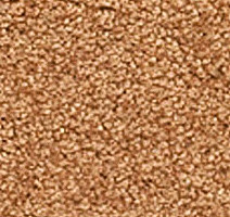 Ковролин Girloon Flair 700 фото 1 | FLOORDEALER