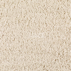 Ковролин Best Wool Nature Vivaldi I-AB Stork фото 1 | FLOORDEALER