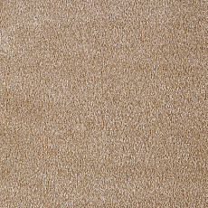 Ковролин AW Secret 43 фото 1 | FLOORDEALER