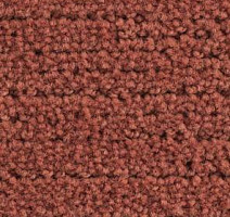 Ковролин Balsan Ecorce Ecorce 460 фото 1 | FLOORDEALER