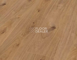 My Floor Chalet 10мм m1029 Дуб Престиж светлый фото 2 | FLOORDEALER