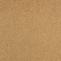 Ковровая плитка Balsan Serenite Dalle 641 Serenite Dalle фото 1 | FLOORDEALER