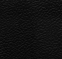 Линолеум Lg Rexcourt SPF6800 фото 1 | FLOORDEALER