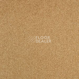 Ковровая плитка Balsan Serenite Dalle 641 Serenite Dalle фото 1 | FLOORDEALER