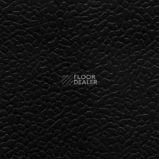 Линолеум Lg Rexcourt SPF6800 фото 1 | FLOORDEALER