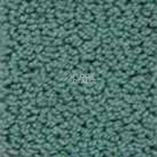 Ковролин Infloor Color 53 450 фото 1 | FLOORDEALER