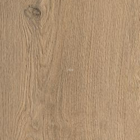 Alpine Floor Parquet Light ЕСО 13-23 Дуб Алиот фото 5 | FLOORDEALER