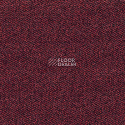 Ковровая плитка AW Maxima 12 фото 1 | FLOORDEALER