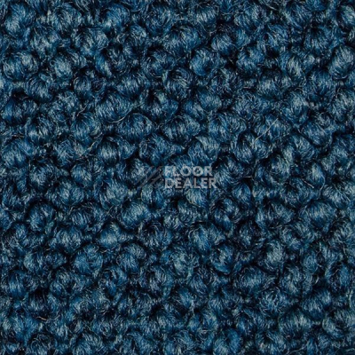 Ковролин Carpet Concept Eco Cut 21258 фото 1 | FLOORDEALER