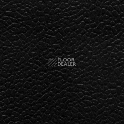 Линолеум Lg Rexcourt SPF6800 фото 1 | FLOORDEALER