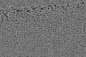 Ковролин Balsan Prado 920 фото  | FLOORDEALER