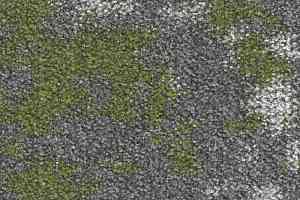Ковровая плитка Small 622 Fern c фото  | FLOORDEALER