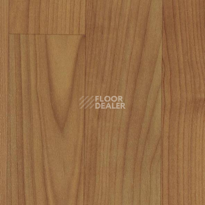 Линолеум Graboplast Stamina 3151_378_273 фото 1 | FLOORDEALER