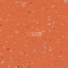 Линолеум Polyflor Pearlazzo Pur 9717 фото 1 | FLOORDEALER