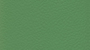 Линолеум Recreation 45 Uni 6556_Verde фото 1 | FLOORDEALER