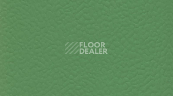 Линолеум Gerflor Recreation 45 Uni 6556_Verde фото 1 | FLOORDEALER