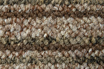 Ковровая плитка Betap Larix 9708 фото 1 | FLOORDEALER