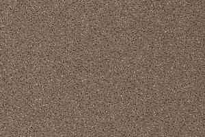 Ковролин Vorwerk Passion 1006 Vorwerk 7f92 фото  | FLOORDEALER