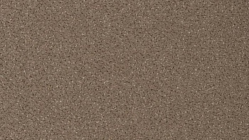 Ковролин Vorwerk Passion 1006 Vorwerk 7f92 фото 1 | FLOORDEALER