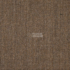 Ковролин Carpet Concept Eco 500 6952 фото 1 | FLOORDEALER