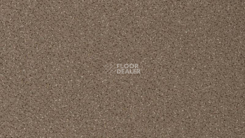 Ковролин Vorwerk Passion 1006 Vorwerk 7f92 фото 1 | FLOORDEALER
