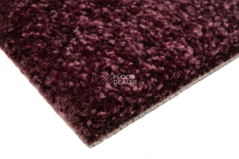 Balsan Sweet Dreams 860 фото 4 | FLOORDEALER