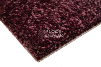 Balsan Sweet Dreams 860 фото 4 | FLOORDEALER
