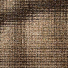 Carpet Concept Eco 500 6952 фото 1 | FLOORDEALER