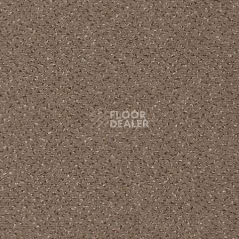 Ковролин Vorwerk Passion 1006 Vorwerk 7f92 фото 1 | FLOORDEALER