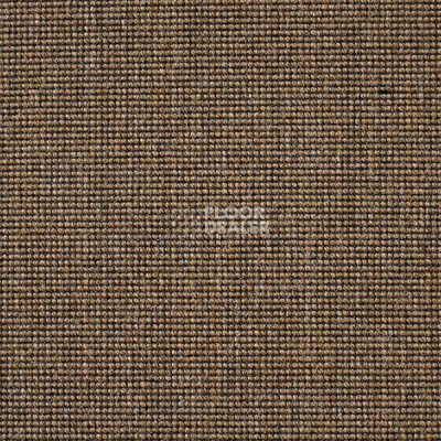 Ковролин Carpet Concept Eco 500 6952 фото 1 | FLOORDEALER