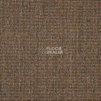 Ковролин Carpet Concept Eco 500 6952 фото 1 | FLOORDEALER
