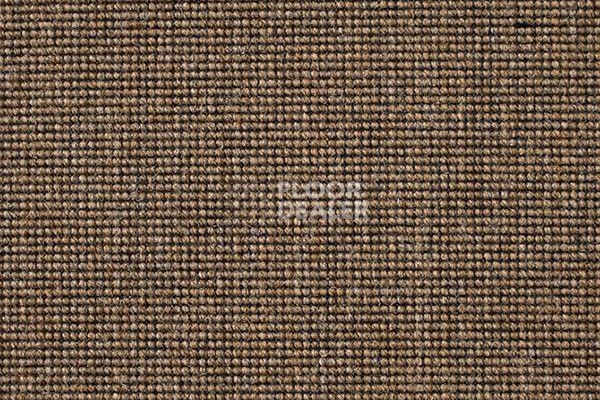 Ковролин Carpet Concept Eco 500 6952 фото 1 | FLOORDEALER