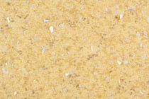 Линолеум Forbo Emerald Spectra 5534 фото 1 | FLOORDEALER